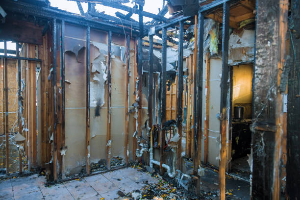 Professional Fire Damage Restoration technician working in Jan Phyl Village, FL